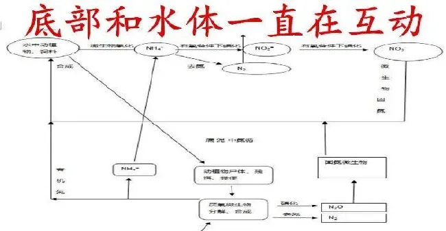 养殖水体常见有那些生物化学反应之沉淀反应和水质的关系