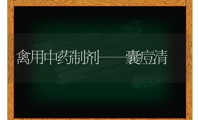 禽用中药制剂——囊痘清 | 养殖病虫害防治