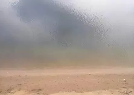 绿水解毒安处理车虾池塘红水效果显著