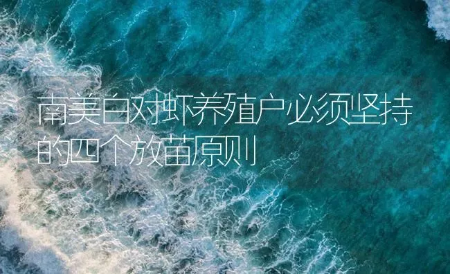 南美白对虾养殖户必须坚持的四个放苗原则 | 海水养殖