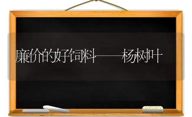 廉价的好饲料——杨树叶 | 动物养殖饲料