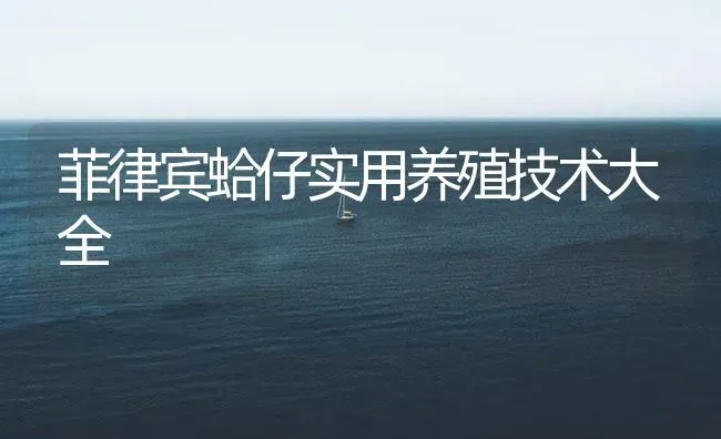 菲律宾蛤仔实用养殖技术大全 | 海水养殖