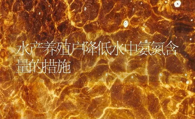 水产养殖户降低水中氨氮含量的措施 | 动物养殖百科