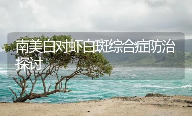 南美白对虾白斑综合症防治探讨 | 海水养殖