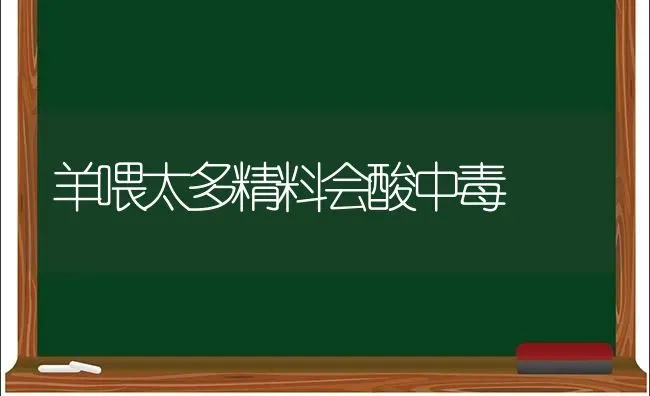 羊喂太多精料会酸中毒 | 家畜养殖