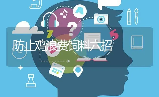 防止鸡浪费饲料六招 | 家禽养殖