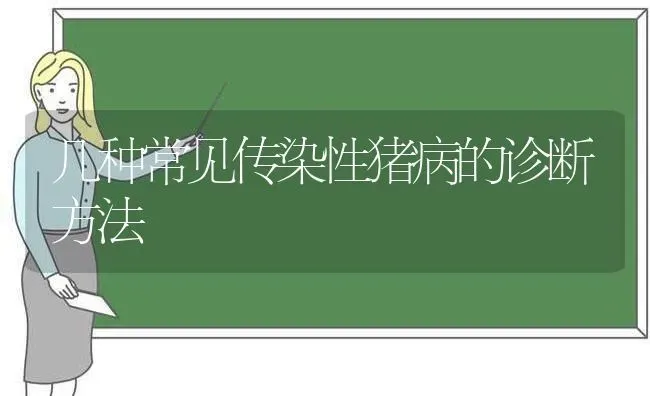 几种常见传染性猪病的诊断方法 | 家畜养殖