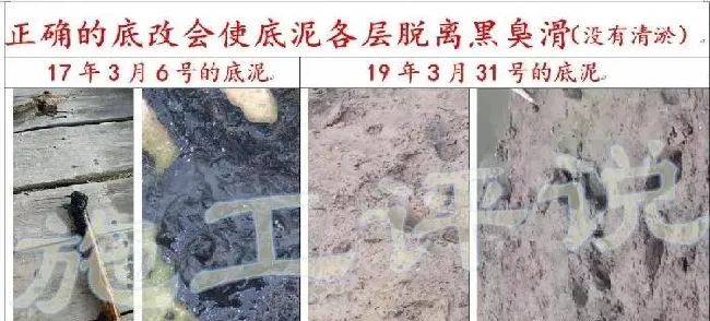 养殖水体常见有那些生物化学反应之沉淀反应和水质的关系