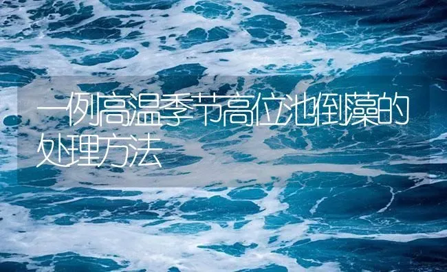 一例高温季节高位池倒藻的处理方法 | 海水养殖