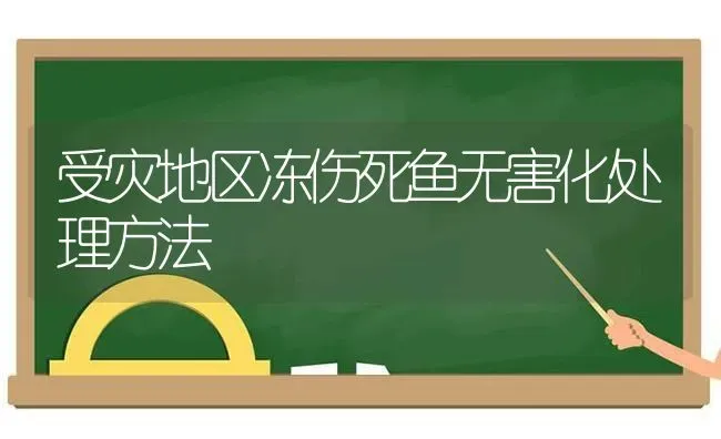 受灾地区冻伤死鱼无害化处理方法 | 动物养殖百科