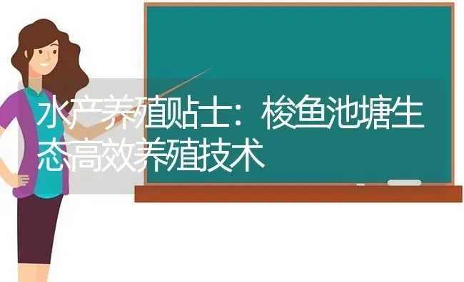 水产养殖贴士：梭鱼池塘生态高效养殖技术 | 动物养殖百科