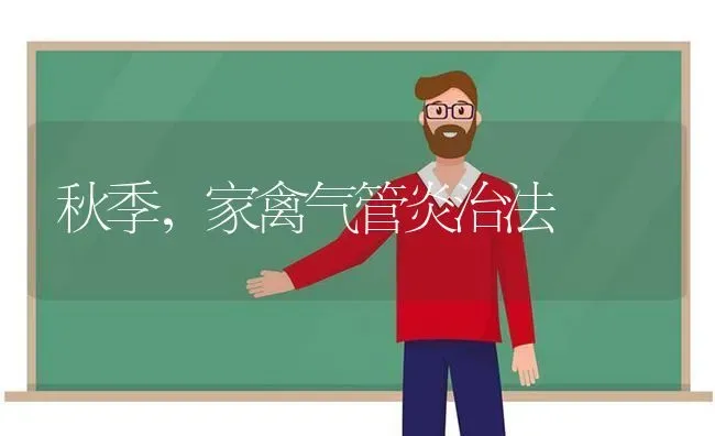 秋季，家禽气管炎治法 | 家禽养殖