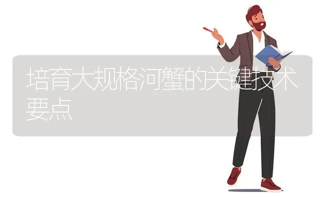 培育大规格河蟹的关键技术要点 | 淡水养殖