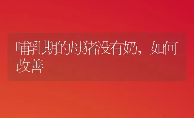 哺乳期的母猪没有奶，如何改善 | 家畜养殖