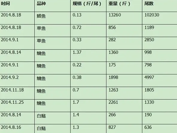 鲫鱼和花鲢混养塘分台投喂 每亩多挣两千五百块