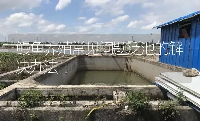 鳗鱼养殖常见问题泛池的解决办法 | 淡水养殖