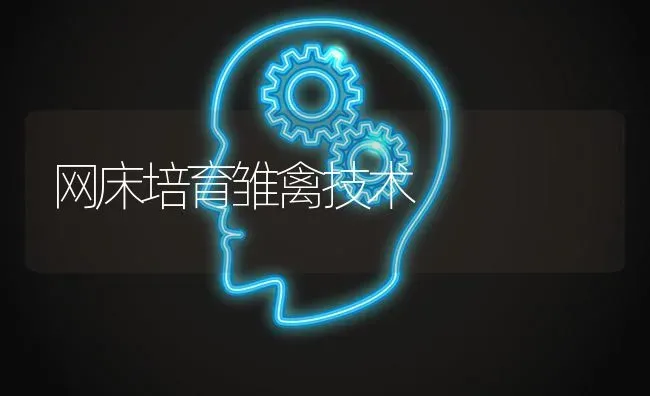 网床培育雏禽技术 | 家禽养殖