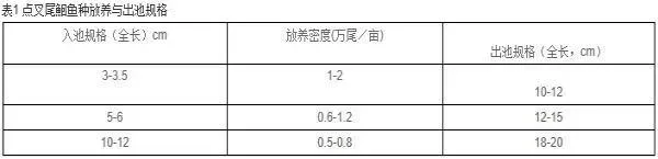 斑点叉尾鮰苗种培育及成鱼养成技术