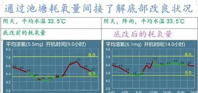 遇到池塘老化、水源富营养化怎么破？看300亩养虾基地实战全记录