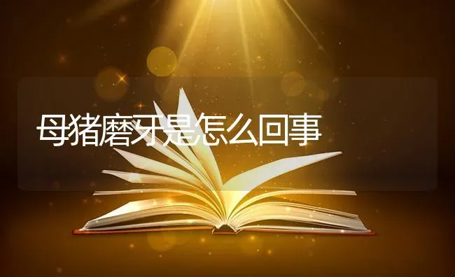 母猪磨牙是怎么回事 | 家畜养殖