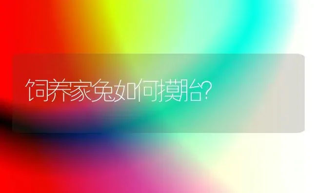 饲养家兔如何摸胎？ | 家畜养殖