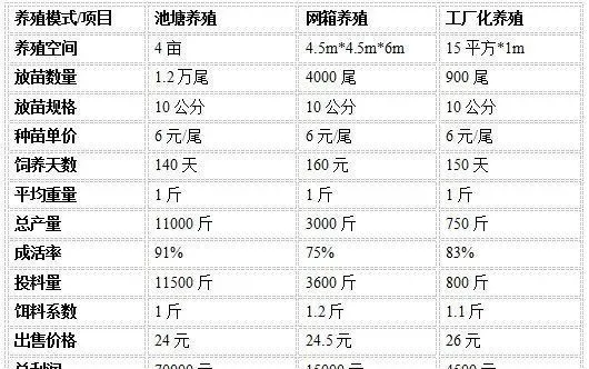 石斑鱼三种养殖模式优缺点对比分析