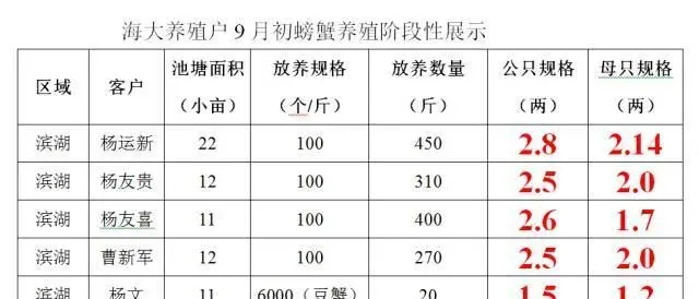 湖北洪湖区域河蟹养殖初始数据：见证“膏大上”