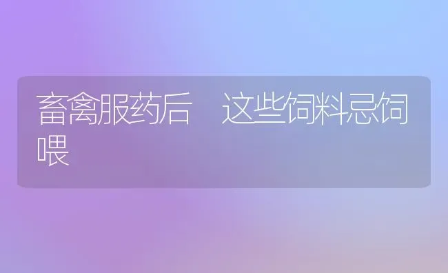 畜禽服药后 这些饲料忌饲喂 | 养殖病虫害防治