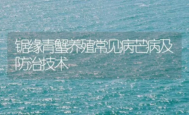 锯缘青蟹养殖常见病芒病及防治技术 | 海水养殖