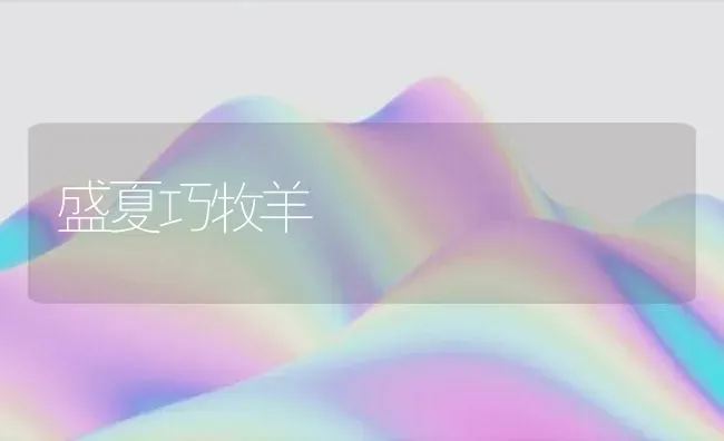 盛夏巧牧羊 | 家畜养殖