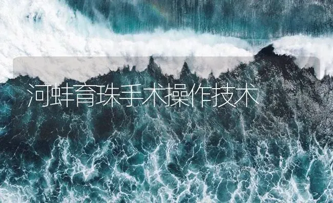 河蚌育珠手术操作技术 | 海水养殖