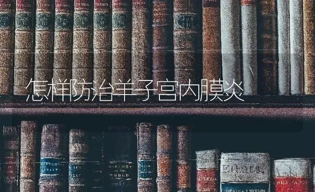 怎样防治羊子宫内膜炎 | 家畜养殖