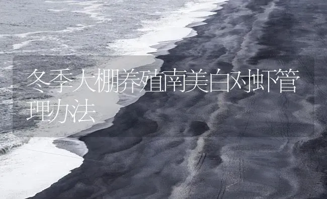 冬季大棚养殖南美白对虾管理办法 | 海水养殖