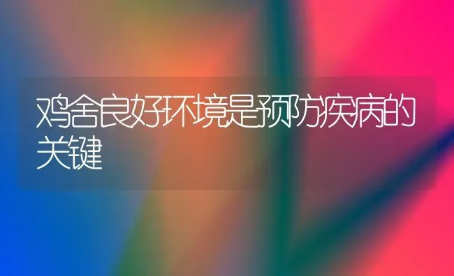 鸡舍良好环境是预防疾病的关键 | 家禽养殖