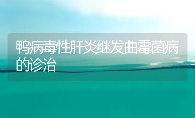 鸭病毒性肝炎继发曲霉菌病的诊治 | 家禽养殖
