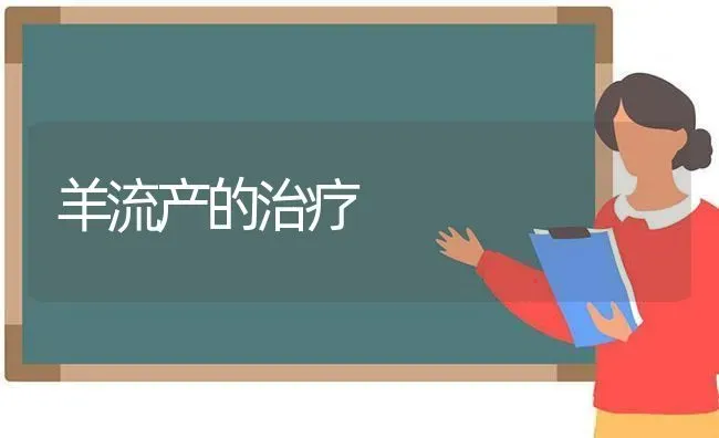 羊流产的治疗 | 家畜养殖