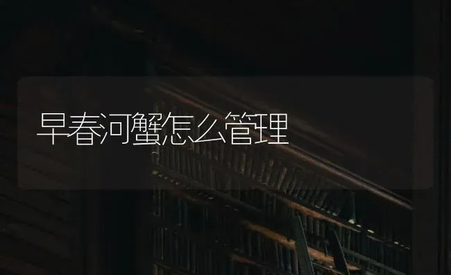 早春河蟹怎么管理 | 淡水养殖