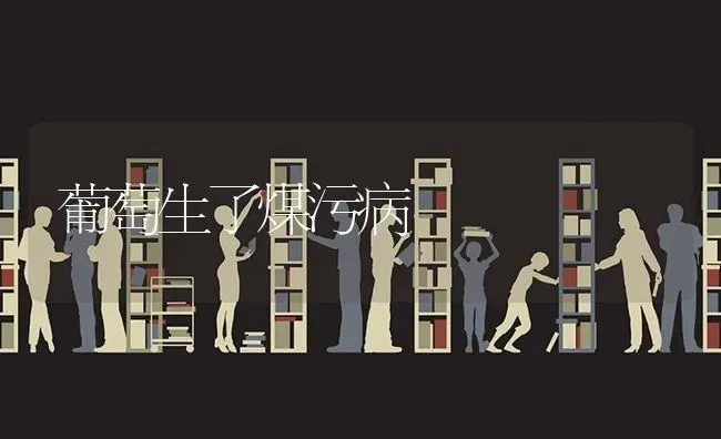 秋季鸡场饲养管理注意啥 | 家禽养殖