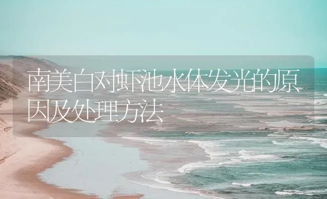 南美白对虾池水体发光的原因及处理方法 | 海水养殖