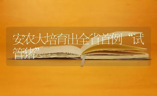 安农大培育出全省首例“试管猪” | 家畜养殖