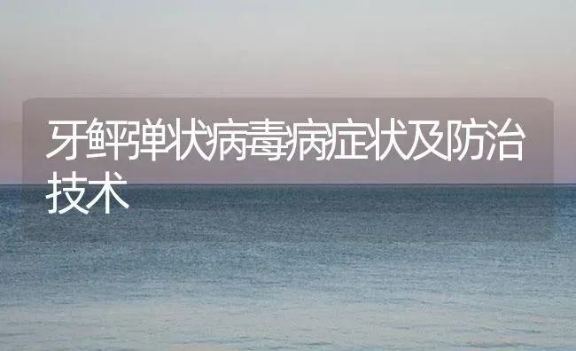 牙鲆弹状病毒病症状及防治技术 | 养殖病虫害防治