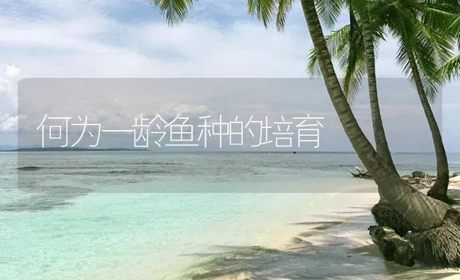 何为一龄鱼种的培育 | 淡水养殖