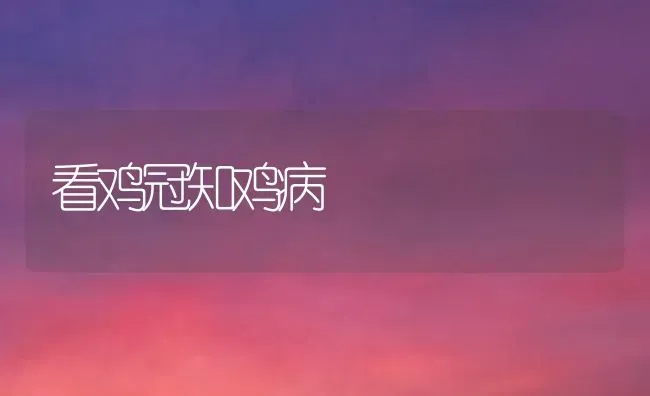 看鸡冠知鸡病 | 家禽养殖
