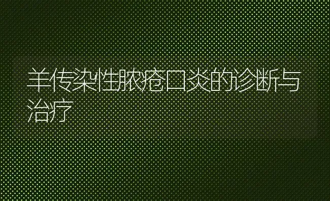 羊传染性脓疮口炎的诊断与治疗 | 家畜养殖