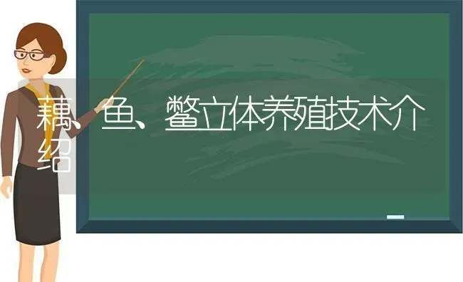 藕、鱼、鳖立体养殖技术介绍 | 动物养殖百科