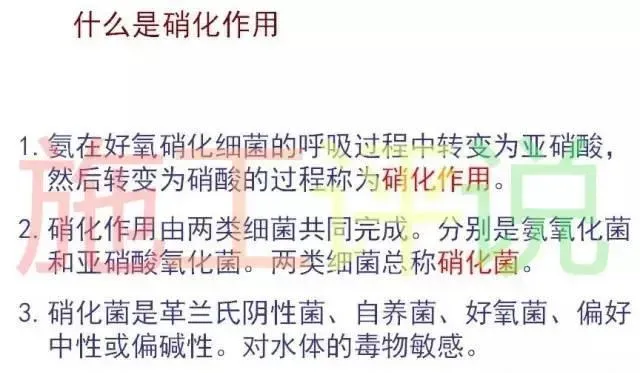 养殖水体亚硝酸盐、氨氮为什么会高？