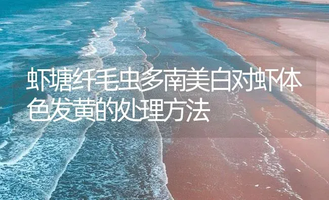 虾塘纤毛虫多南美白对虾体色发黄的处理方法 | 海水养殖
