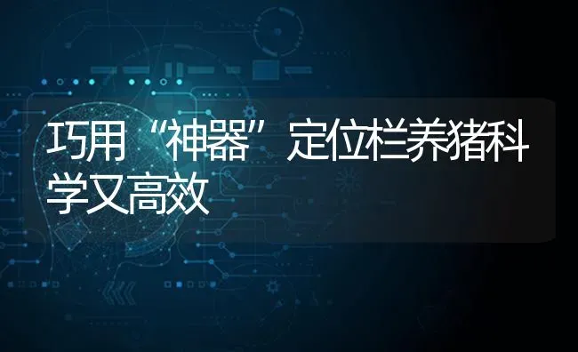 巧用“神器”定位栏养猪科学又高效 | 家畜养殖