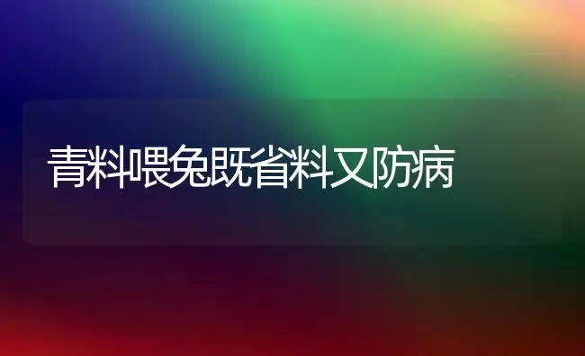 青料喂兔既省料又防病 | 家畜养殖