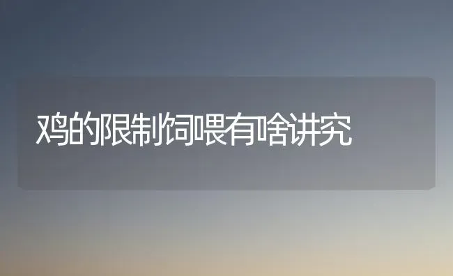 鸡的限制饲喂有啥讲究 | 家禽养殖